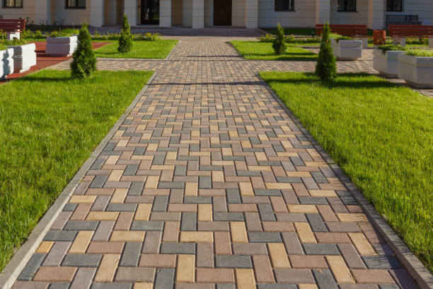 Best Driveway Pavers Near Me  in Hilltop, MN